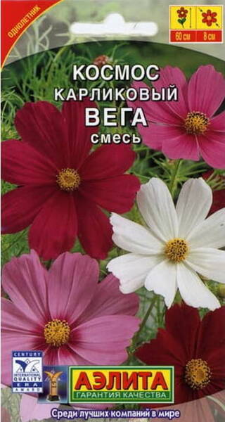 Rosenskära "Vega" (dvärg)